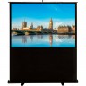 Экран CACTUS FLOORCOMPAKTEXPERT 53", 16:9, напольный, 120x68 см. CS-PSFLCE-120X68 Экран CACTUS FLOORCOMPAKTEXPERT 53", 16:9, напольный, 120x68 см. CS-PSFLCE-120X68