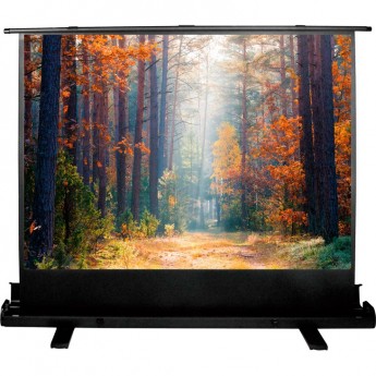 Экран CACTUS FLOOREXPERT CS-PSFLE-180x135, 89", 4:3, напольный, 180x135 см. Экран CACTUS FLOOREXPERT CS-PSFLE-180x135, 89", 4:3, напольный, 180x135 см.