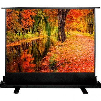 Экран CACTUS FLOOREXPERT CS-PSFLE-200x150, 99", 4:3, напольный, 200x150 см. Экран CACTUS FLOOREXPERT CS-PSFLE-200x150, 99", 4:3, напольный, 200x150 см.