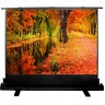 Экран CACTUS FLOOREXPERT , 99", 4:3, напольный, 200x150 см. CS-PSFLE-200X150 Экран CACTUS FLOOREXPERT , 99", 4:3, напольный, 200x150 см. CS-PSFLE-200X150
