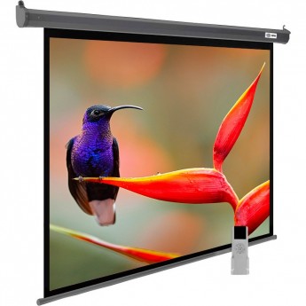 Экран CACTUS SILVERMOTOEXPERT CS-PSSME-220X138-DG 16:10 настенно-потолочный, темно-серый, моторизованный привод, 220x138 см. Экран CACTUS SILVERMOTOEXPERT CS-PSSME-220X138-DG 16:10 настенно-потолочный, темно-серый, моторизованный привод, 220x138 см.