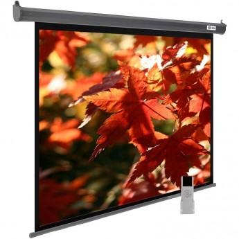 Экран CACTUS SILVERMOTOEXPERT CS-PSSME-200x150-DG, 99", 4:3, настенно-потолочный, темно-серый, моторизованный привод, 200x150 см. Экран CACTUS SILVERMOTOEXPERT CS-PSSME-200x150-DG, 99", 4:3, настенно-потолочный, темно-серый, моторизованный привод, 200x150 см.