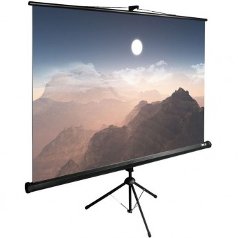 Экран CACTUS TRIEXPERT CS-PSTE-180x180-BK, 100", 1:1, напольный, 180x180 см. Экран CACTUS TRIEXPERT CS-PSTE-180x180-BK, 100", 1:1, напольный, 180x180 см.