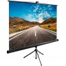 Экран CACTUS TRIEXPERT 92" 1:1 напольный, 160x160 см. CS-PSTE-160X160-BK Экран CACTUS TRIEXPERT 92" 1:1 напольный, 160x160 см. CS-PSTE-160X160-BK