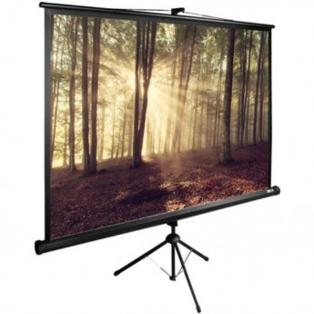 Экран CACTUS TRIEXPERT CS-PSTE-180х135-BK, 89 ", 4:3, напольный, 180х135 см. Экран CACTUS TRIEXPERT CS-PSTE-180х135-BK, 89 ", 4:3, напольный, 180х135 см.