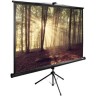 Экран CACTUS TRIEXPERT CS-PSTE-180х135-BK, 89 ", 4:3, напольный, 180х135 см. CS-PSTE-180KH135-BK Экран CACTUS TRIEXPERT CS-PSTE-180х135-BK, 89 ", 4:3, напольный, 180х135 см. CS-PSTE-180KH135-BK