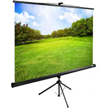 Экран CACTUS TriExpert CS-PSTE-200х150-BK 99 ", 4:3, напольный, 200х150 см. Экран CACTUS TriExpert CS-PSTE-200х150-BK 99 ", 4:3, напольный, 200х150 см.
