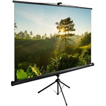Экран CACTUS TRIEXPERT CS-PSTE-200х200-BK 115" 1:1 напольный (200х200 см.) Экран CACTUS TRIEXPERT CS-PSTE-200х200-BK 115" 1:1 напольный (200х200 см.)