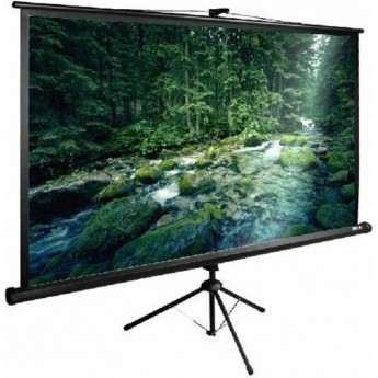 Экран CACTUS TriExpert CS-PSTE-220х165-BK 109" 4:3 напольный (220х165 см.) Экран CACTUS TriExpert CS-PSTE-220х165-BK 109" 4:3 напольный (220х165 см.)