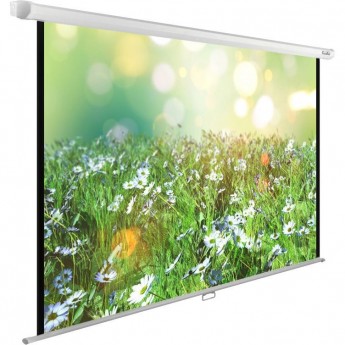 Экран CACTUS WallExpert CS-PSWE-200x200-WT, 1:1, настенно-потолочный, рулонные, 200x200 см. Экран CACTUS WallExpert CS-PSWE-200x200-WT, 1:1, настенно-потолочный, рулонные, 200x200 см.