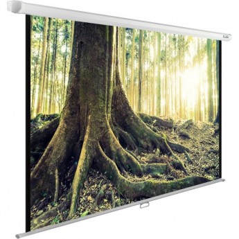 Экран CACTUS WallExpert CS-PSWE-220x220-WT, 1:1, настенно-потолочный, рулонный, 220x220 см. Экран CACTUS WallExpert CS-PSWE-220x220-WT, 1:1, настенно-потолочный, рулонный, 220x220 см.