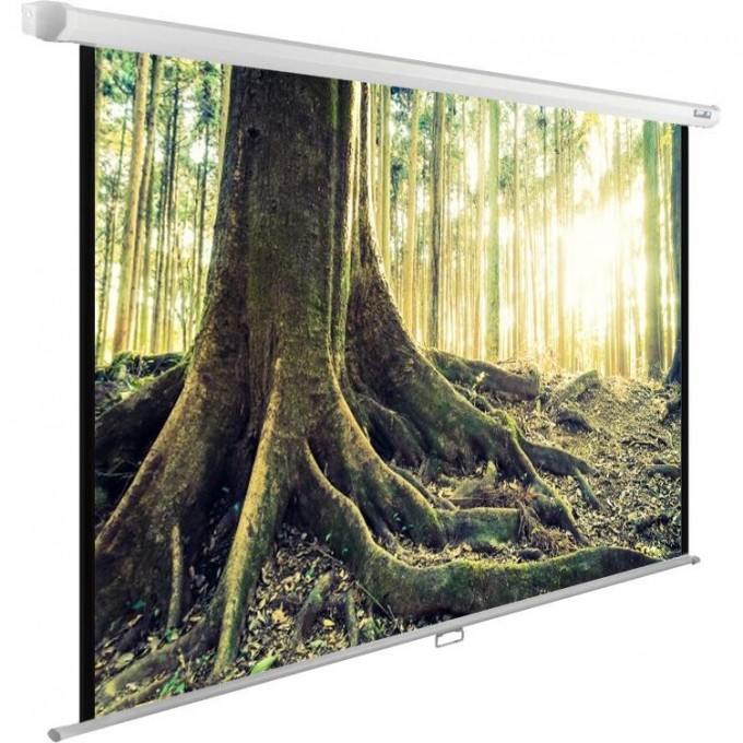 Экран CACTUS WallExpert , 1:1, настенно-потолочный, рулонный, 220x220 см. CS-PSWE-220X220-WT Экран CACTUS WallExpert , 1:1, настенно-потолочный, рулонный, 220x220 см. CS-PSWE-220X220-WT
