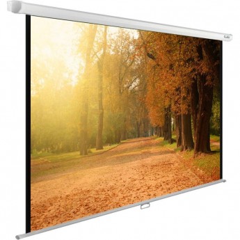Экран CACTUS WallExpert CS-PSWE-200x125-WT, 16:10, настенно-потолочный, рулонный, 200x125 см. Экран CACTUS WallExpert CS-PSWE-200x125-WT, 16:10, настенно-потолочный, рулонный, 200x125 см.