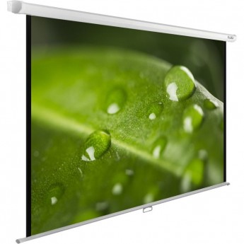 Экран CACTUS WALLEXPERT CS-PSWE-200x150-WT, 99", 4:3, настенно-потолочный, 200x150 см. Экран CACTUS WALLEXPERT CS-PSWE-200x150-WT, 99", 4:3, настенно-потолочный, 200x150 см.