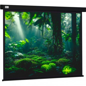 Экран CACTUS WALLSCREEN CS-PSW-213X213-BK, 1:1, настенно-потолочный, корпус черный, 213x213 см. Экран CACTUS WALLSCREEN CS-PSW-213X213-BK, 1:1, настенно-потолочный, корпус черный, 213x213 см.
