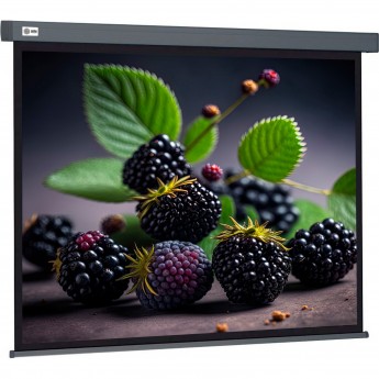 Экран CACTUS WALLSCREEN CS-PSW-127X127-SG, 1:1, настенно-потолочный, корпус серый, 127x127 см. Экран CACTUS WALLSCREEN CS-PSW-127X127-SG, 1:1, настенно-потолочный, корпус серый, 127x127 см.