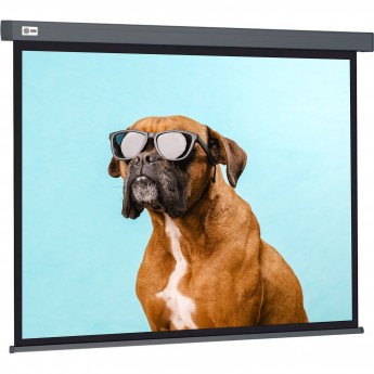 Экран CACTUS WALLSCREEN CS-PSW-149X265-SG, 16:9, настенно-потолочный, корпус серый, 149.4x265.7 см. Экран CACTUS WALLSCREEN CS-PSW-149X265-SG, 16:9, настенно-потолочный, корпус серый, 149.4x265.7 см.