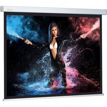 Экран CACTUS Wallscreen CS-PSW-168x299 16:9, настенно-потолочный, рулонные, 168x299 см. Экран CACTUS Wallscreen CS-PSW-168x299 16:9, настенно-потолочный, рулонные, 168x299 см.