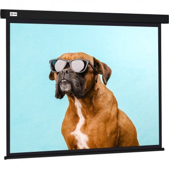 Экран CACTUS WALLSCREEN CS-PSW-183X244-BK, 4:3, настенно-потолочный, корпус черный, 183x244 см. Экран CACTUS WALLSCREEN CS-PSW-183X244-BK, 4:3, настенно-потолочный, корпус черный, 183x244 см.