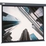 Экран CACTUS WALLSCREEN , 4:3, настенно-потолочный, корпус серый, 183x244 см. CS-PSW-183X244-SG Экран CACTUS WALLSCREEN , 4:3, настенно-потолочный, корпус серый, 183x244 см. CS-PSW-183X244-SG