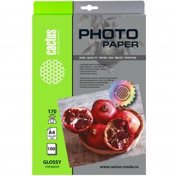 Фотобумага CACTUS CS-GA4170100, формат A4, 170г/м2, белый Фотобумага CACTUS CS-GA4170100, формат A4, 170г/м2, белый