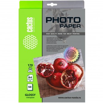 Фотобумага CACTUS CS-GA417050, формат A4, 170г/м2, белый Фотобумага CACTUS CS-GA417050, формат A4, 170г/м2, белый