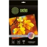 Фотобумага CACTUS PROF A5/260г/м2 белая глянцевая для струйной печати 50л cs-hga526050 Фотобумага CACTUS PROF A5/260г/м2 белая глянцевая для струйной печати 50л cs-hga526050