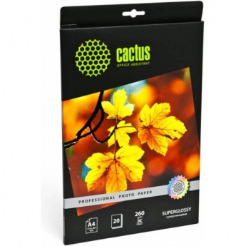 Фотобумага CACTUS Prof CS-HGA426020, формат A4, 260г/м2, белая Фотобумага CACTUS Prof CS-HGA426020, формат A4, 260г/м2, белая