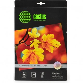 Фотобумага CACTUS Prof CS-SGA428020, формат A4, 280г/м2 Фотобумага CACTUS Prof CS-SGA428020, формат A4, 280г/м2